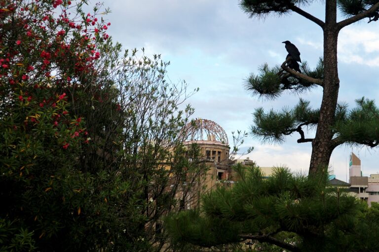 Scopri di più sull'articolo Le 1000 gru di Hiroshima di Sadako Sasaki